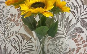 Girasol